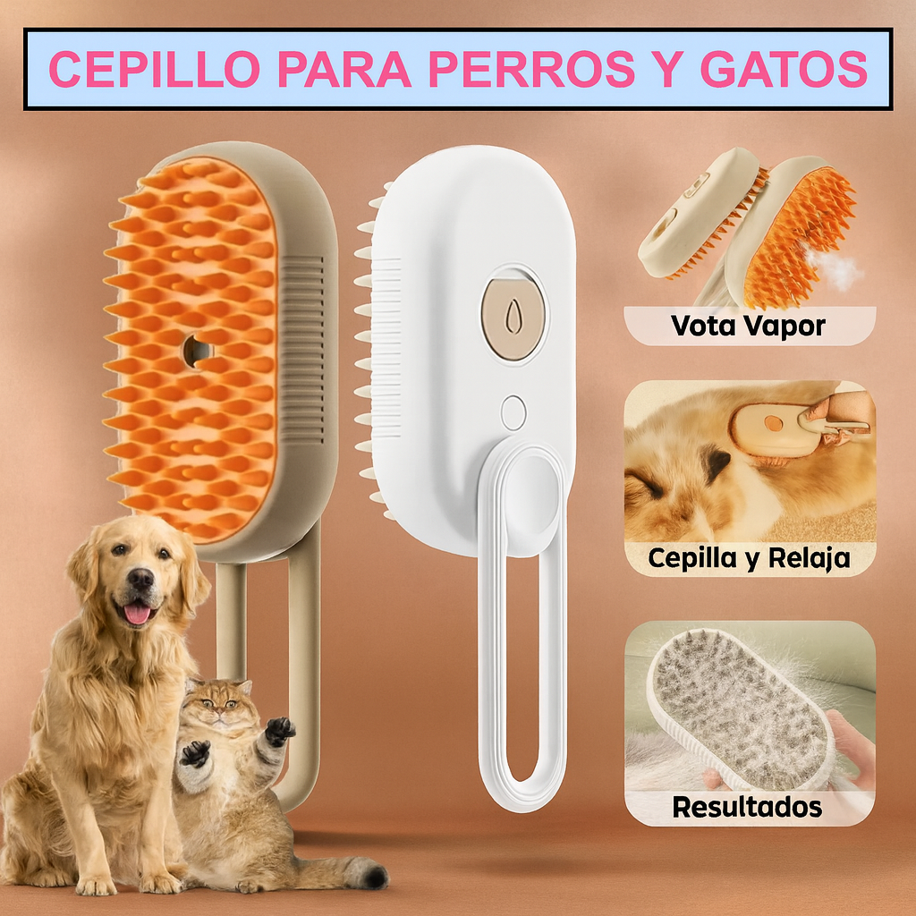 Cepillo de Vapor Con Mango 3 En 1