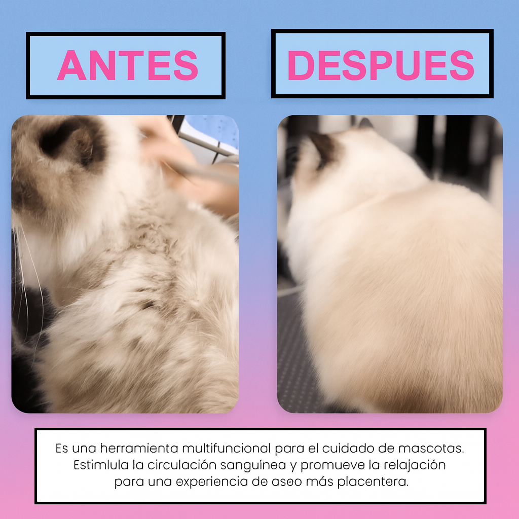 Cepillo de Vapor Con Mango 3 En 1