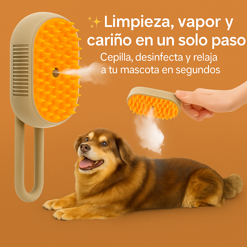 Cepillo de Vapor Con Mango 3 En 1